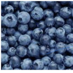 The_blueberry_crew