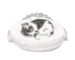 my pet shop