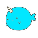 The Narwhal Fans (TNF)
