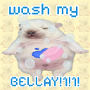 [40 LEVELS] clean pibbles!1!