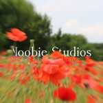 Noobie Studio!