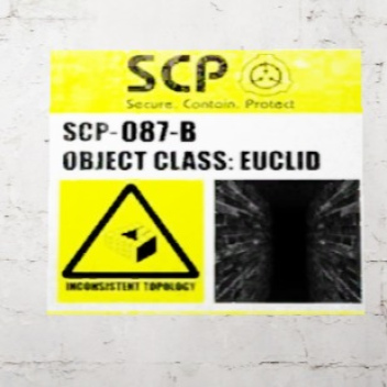 [SCP] 087-B
