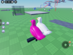 BIRD AREA!