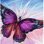 Butterfly’s stick to gether