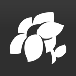 Wildkeepers | Fullflower Studio LLC