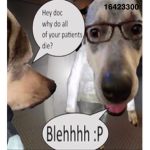 kjfat