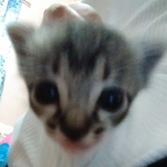 ### ##### gatunos UnU