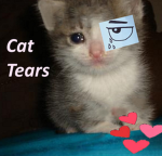 cat tears