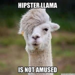 hipster llamaz