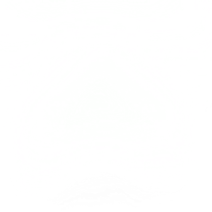 Steam Particle