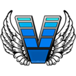 Vortex Security Stealth Force