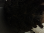 Dread gng