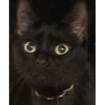 *LL*