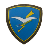 9º Reggimento Paracadutisti • EI