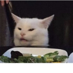 WE HATE SALAD CATS!