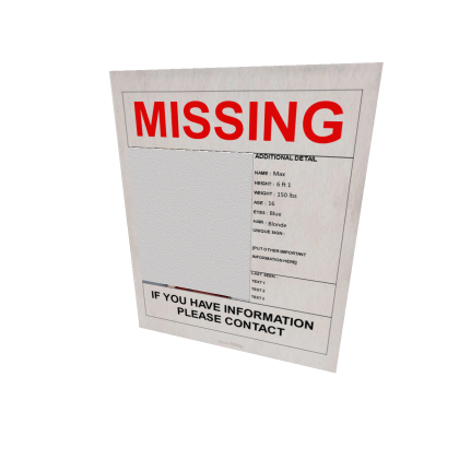 TheCatAndi Missing