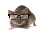 RAT GANG :P