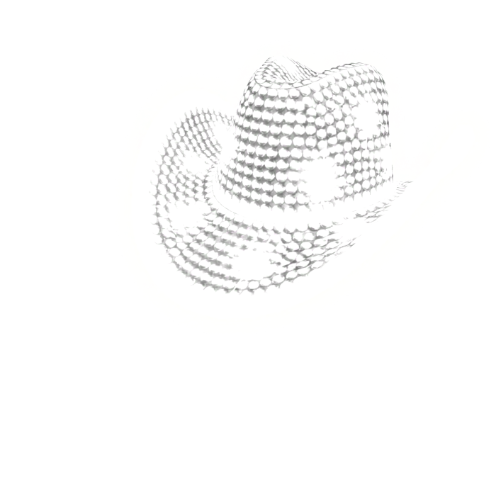✅🔴GLOWING White Rhinestone Sparkle Matching Hat🔴