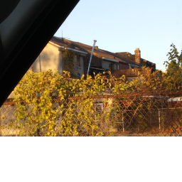 Irem Asylum