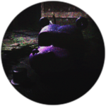 Complete The Underground