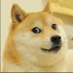 doge squad51