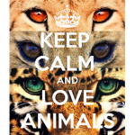 👑👑Animal squad 4 life👑👑