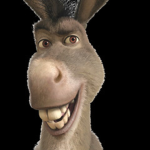 Donkey sauce Studio.