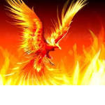 BetaTester1034's Group