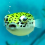 PufferFish Eating Carrot Support