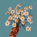 Pretty little daisies