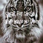 animal cruelty haters!!