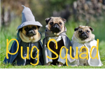 DAT PUG SQUAD BOI