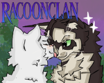 RACCOONCLAN