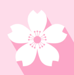 Pretty Hair Shop
