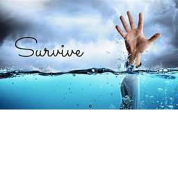 Survive The 1 House