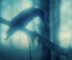 -†Gothic†-