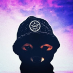 GFX donation