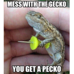 Green Gecko Gang