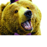 BLOXBEAR DINER