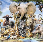 What animal you have or want? Avari316