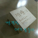 팡팡이그룹