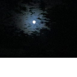 the night