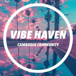 Vibe Haven Community