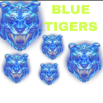 Bloxburg Boarding School (blue tigers)
