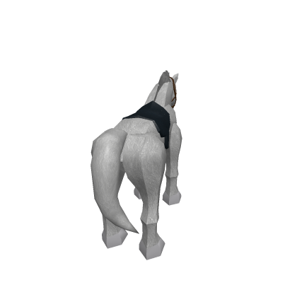 White Coat Arabin Horse