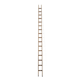 Climb the longest ladder for no reason