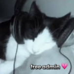 free admin ! !