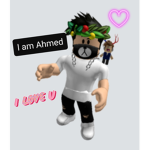 The Ahmed group
