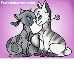 Warrior cats book/movie group