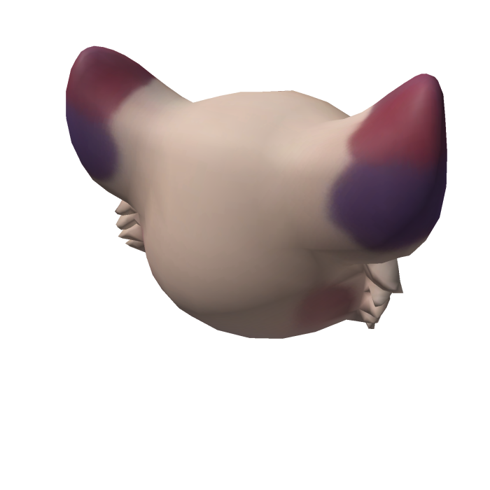 zuri's head